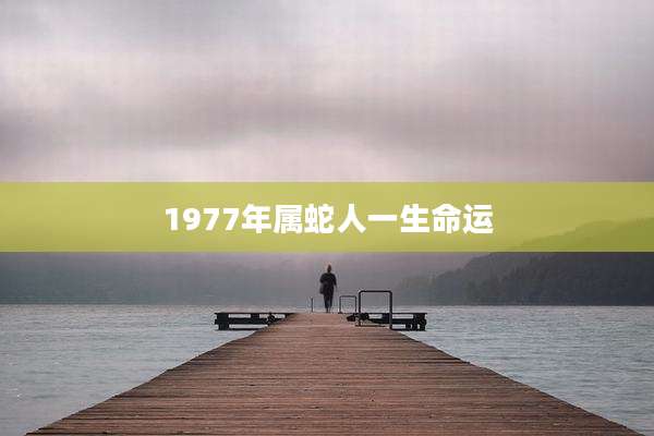 1977年属蛇人一生命运