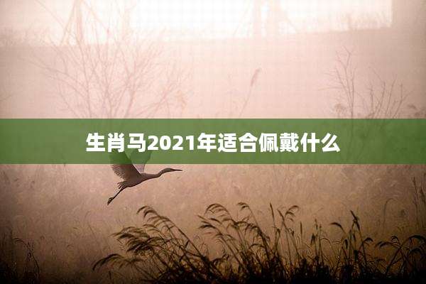 生肖马2021年适合佩戴什么