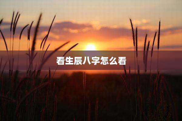 看生辰八字怎么看