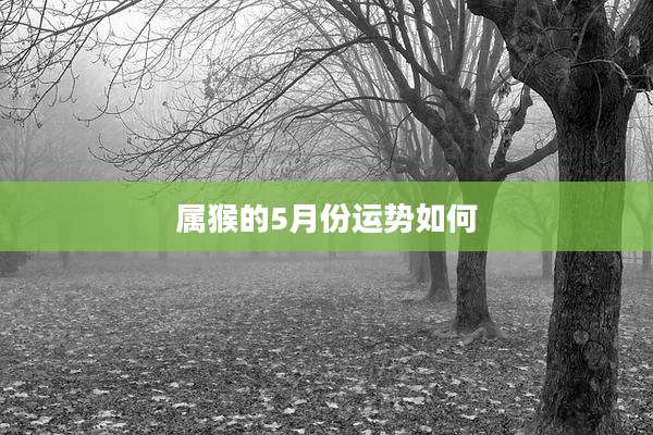 属猴的5月份运势如何