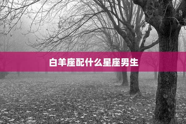 白羊座配什么星座男生