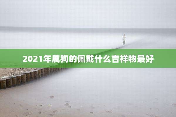 2021年属狗的佩戴什么吉祥物最好