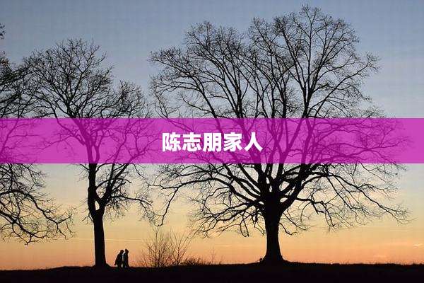 陈志朋家人