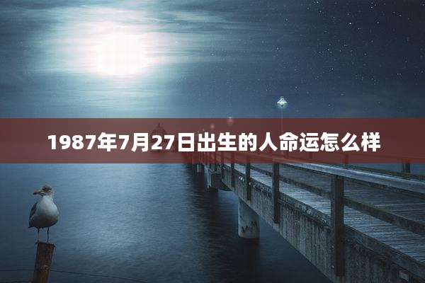 1987年7月27日出生的人命运怎么样