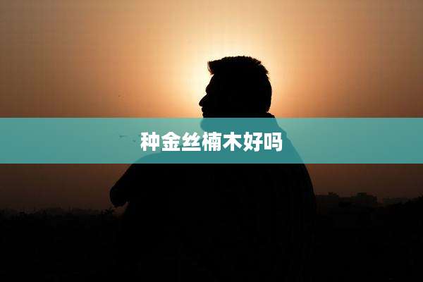 种金丝楠木好吗
