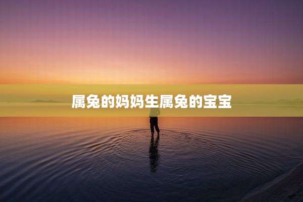 属兔的妈妈生属兔的宝宝