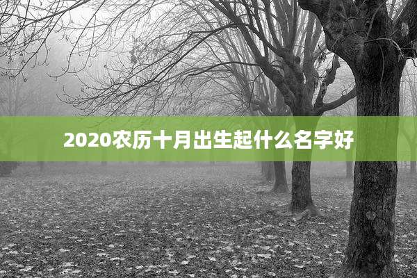 2020农历十月出生起什么名字好