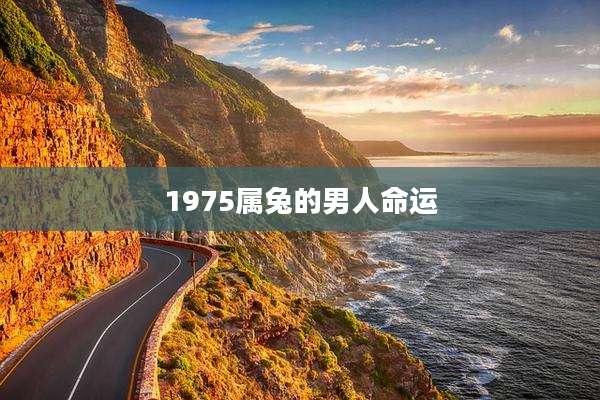 1975属兔的男人命运