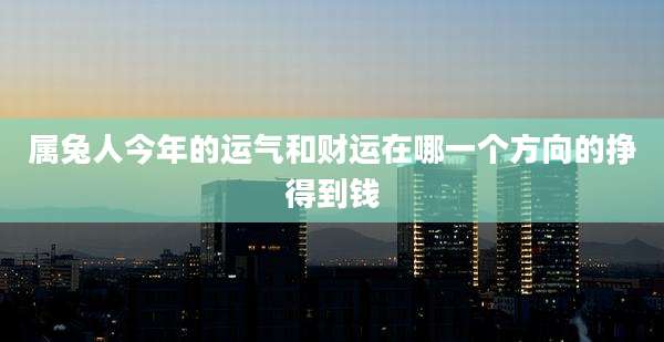 属兔人今年的运气和财运在哪一个方向的挣得到钱