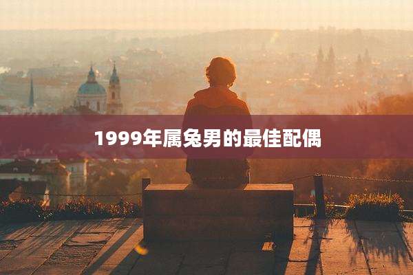 1999年属兔男的最佳配偶
