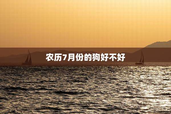 农历7月份的狗好不好