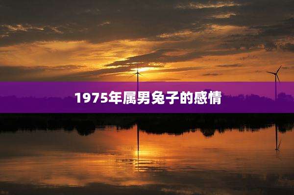 1975年属男兔子的感情
