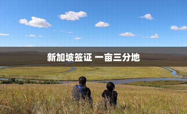 新加坡签证 一亩三分地