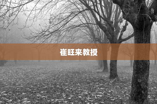 崔旺来教授