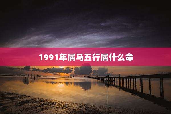 1991年属马五行属什么命