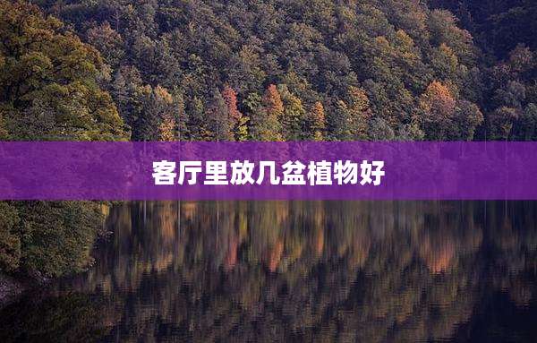 客厅里放几盆植物好
