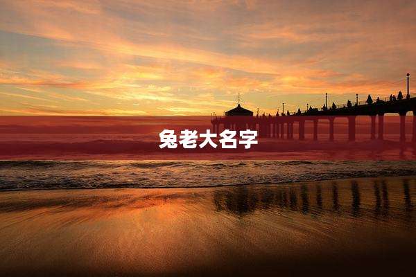 兔老大名字