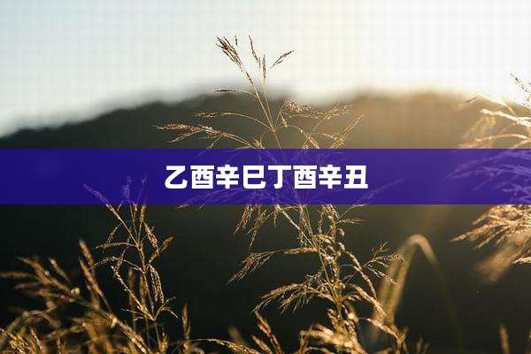 乙酉辛巳丁酉辛丑