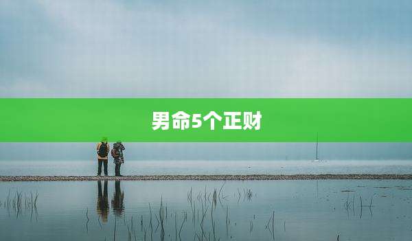 男命5个正财