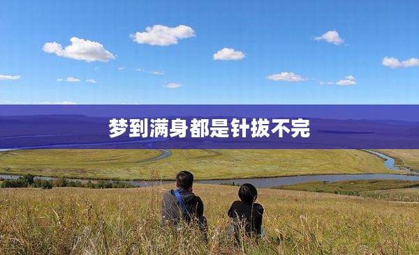 梦到满身都是针拔不完