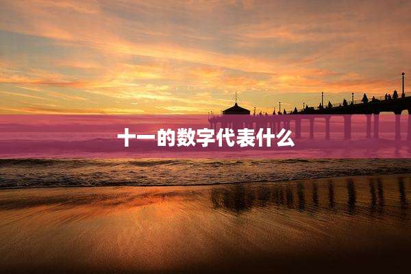 十一的数字代表什么