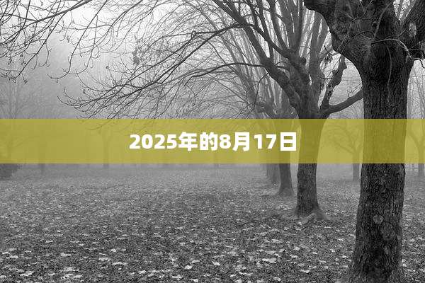 2025年的8月17日