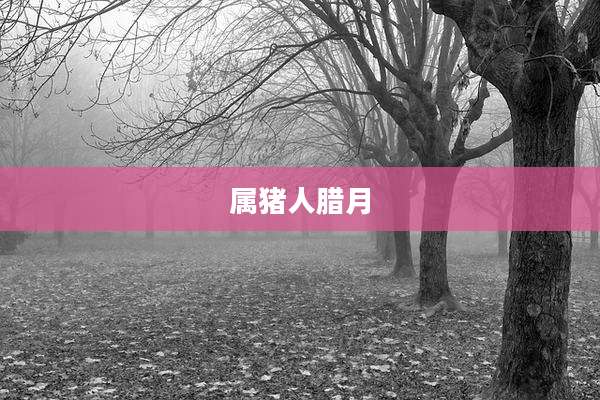 属猪人腊月