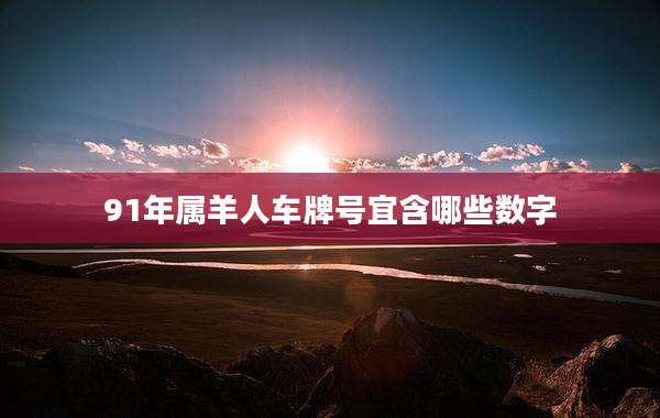 91年属羊人车牌号宜含哪些数字