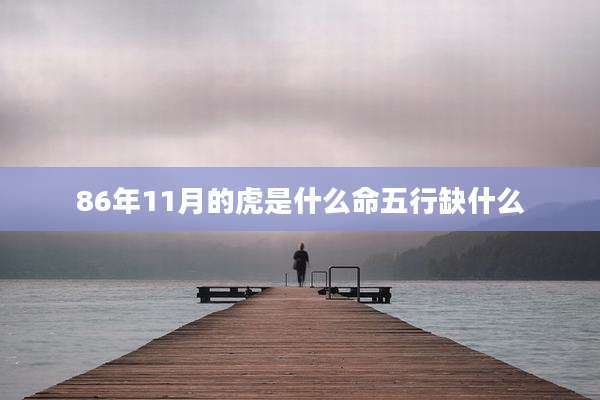 86年11月的虎是什么命五行缺什么