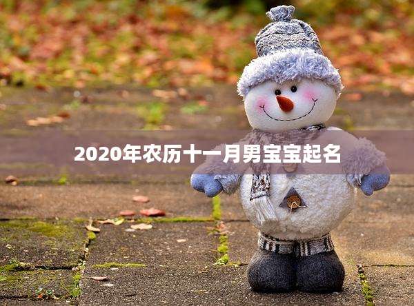 2020年农历十一月男宝宝起名
