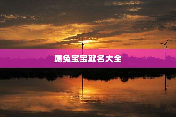 属兔宝宝取名大全