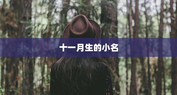 十一月生的小名