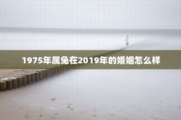 1975年属兔在2019年的婚姻怎么样