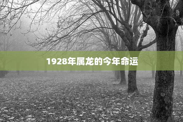 1928年属龙的今年命运