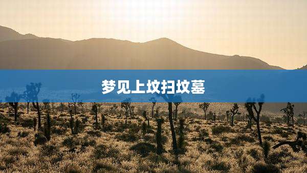 梦见上坟扫坟墓