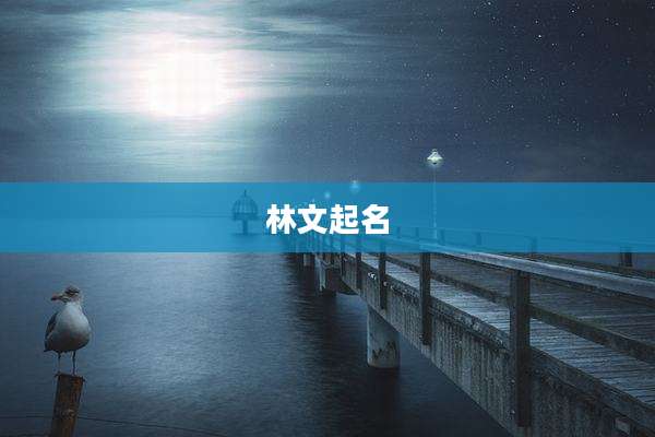 林文起名