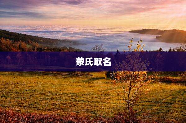 蒙氏取名