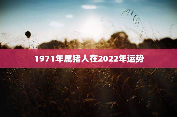1971年属猪人在2022年运势