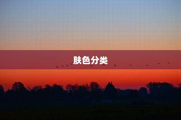 肤色分类