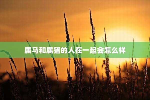 属马和属猪的人在一起会怎么样