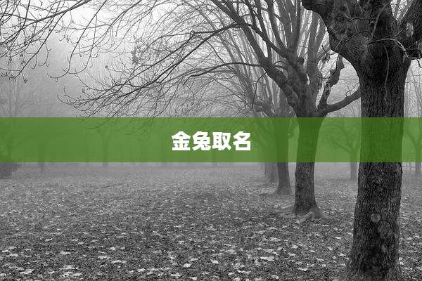 金兔取名