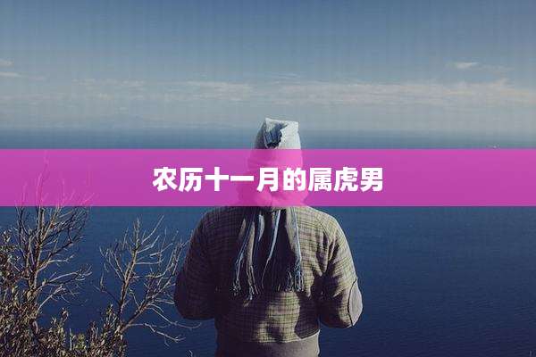 农历十一月的属虎男