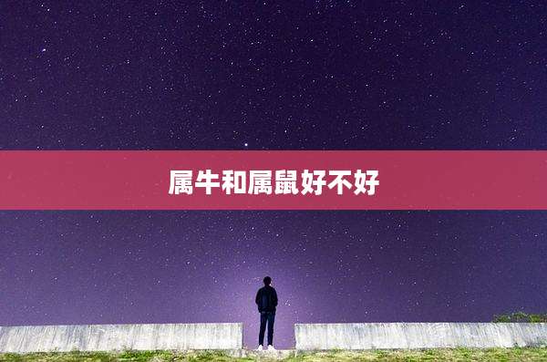 属牛和属鼠好不好