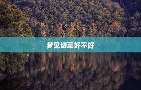 梦见切菜好不好