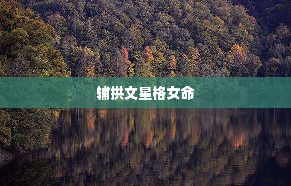 辅拱文星格女命