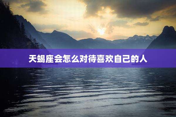 天蝎座会怎么对待喜欢自己的人