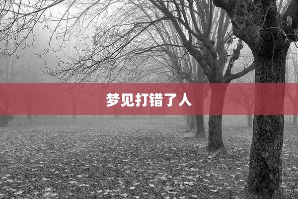 梦见打错了人