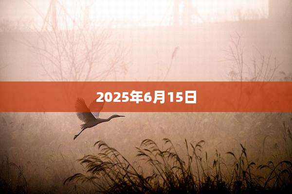 2025年6月15日