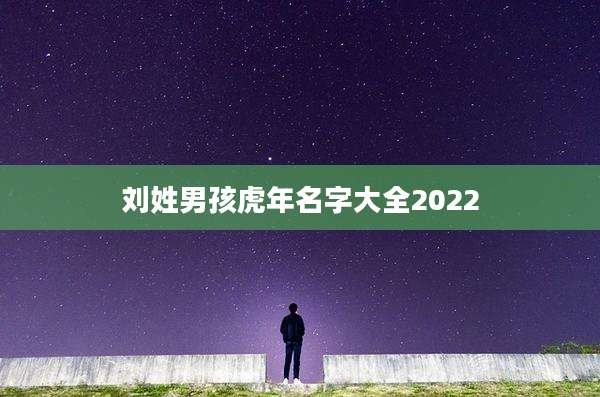 刘姓男孩虎年名字大全2022