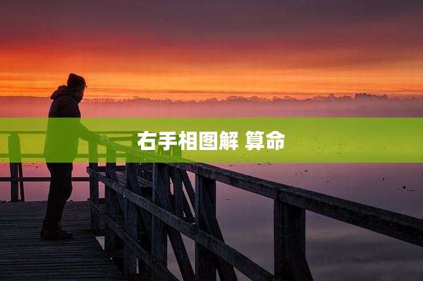 右手相图解 算命
